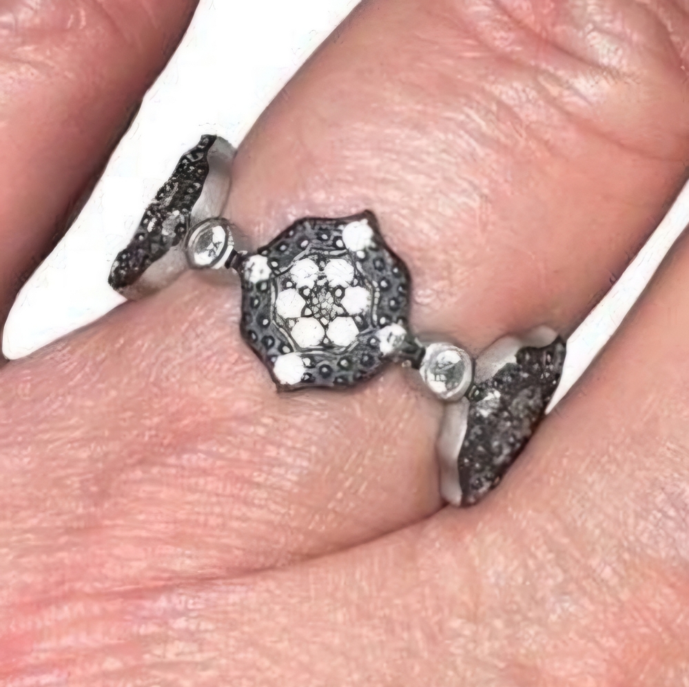 NEW Freida Rothman Ring